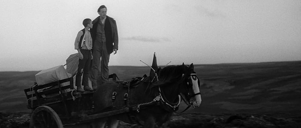 日蔭のふたりの画像