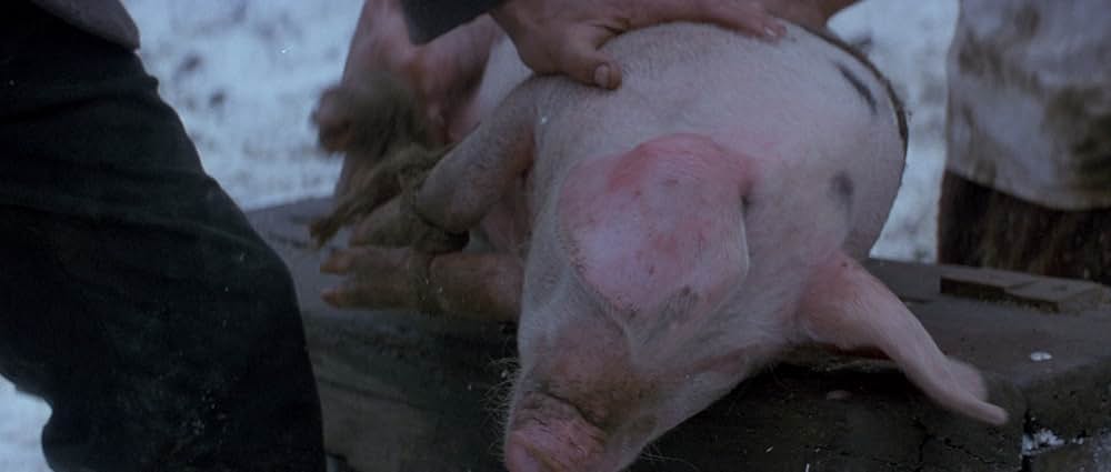 日蔭のふたりの画像