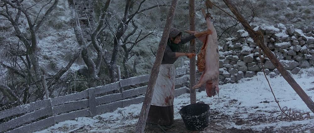 日蔭のふたりの画像