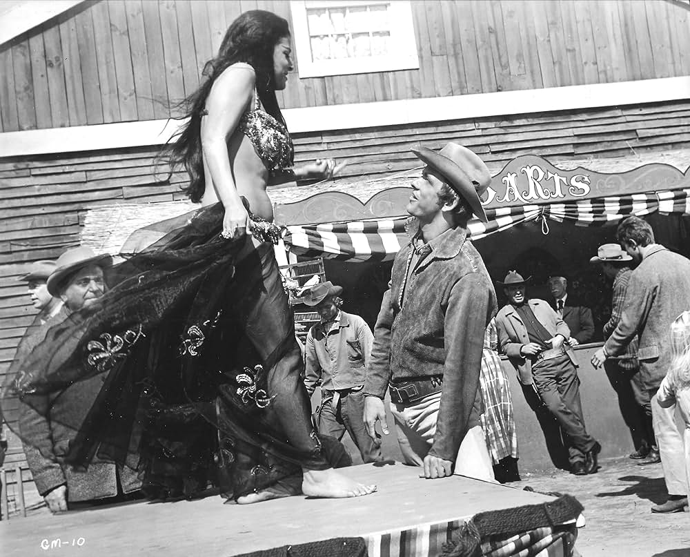 新・荒野の七人／馬上の決闘の画像