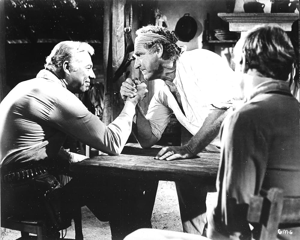 新・荒野の七人／馬上の決闘の画像