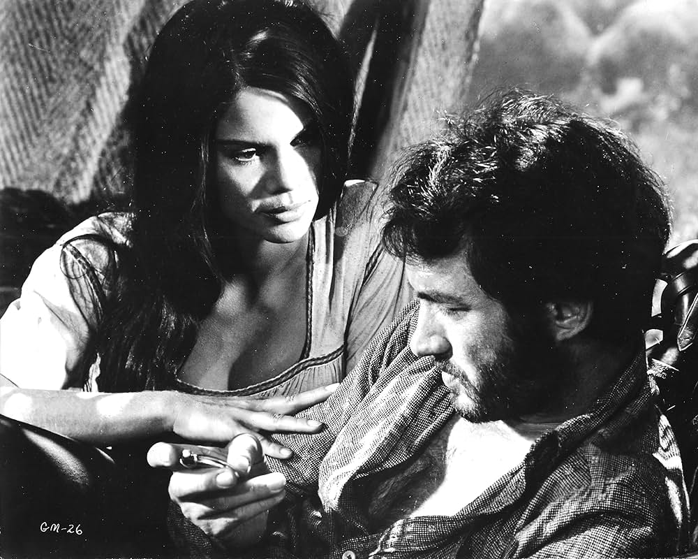 新・荒野の七人／馬上の決闘の画像