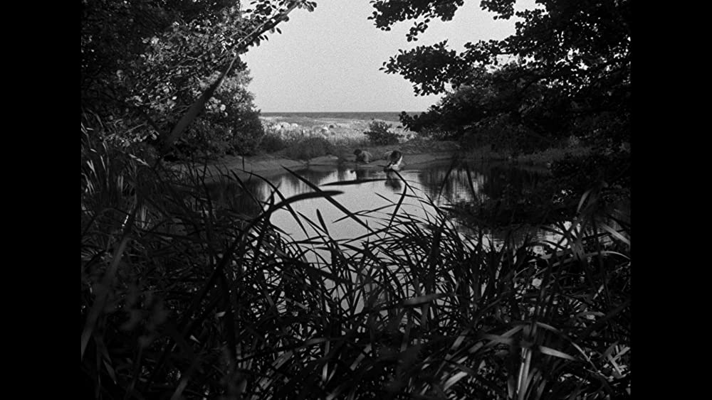 不良少女モニカの画像