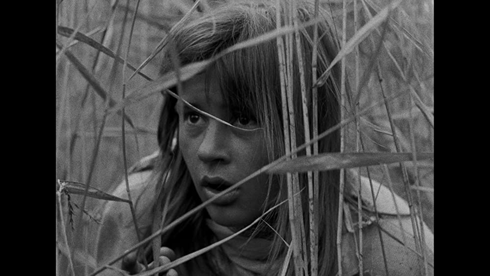 不良少女モニカの画像