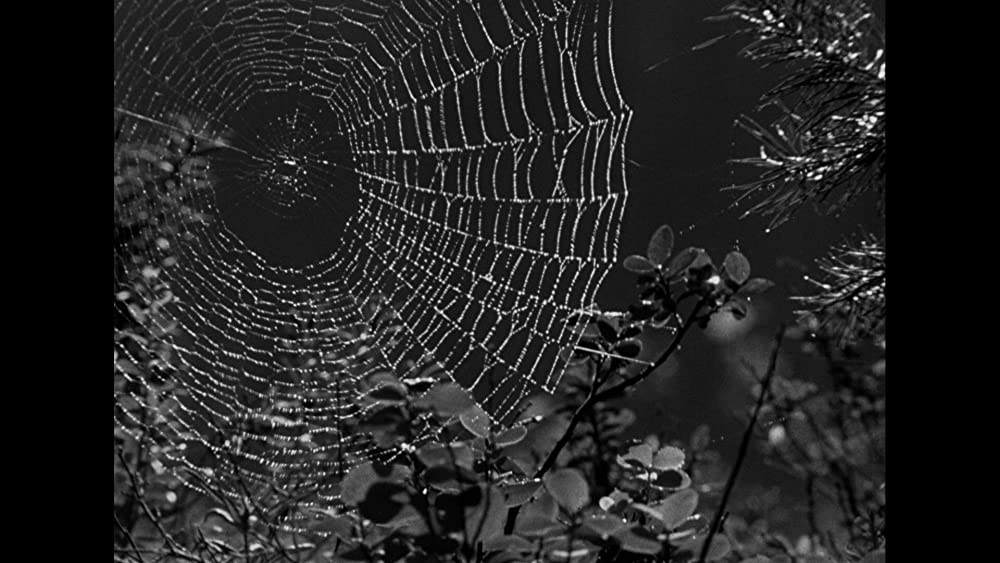 不良少女モニカの画像