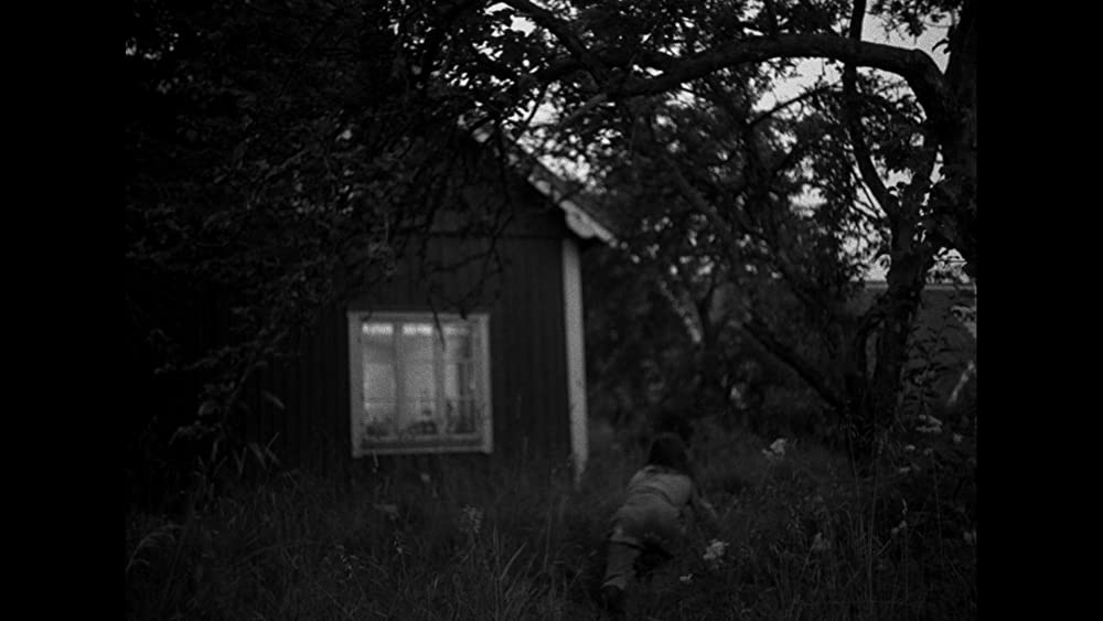 不良少女モニカの画像