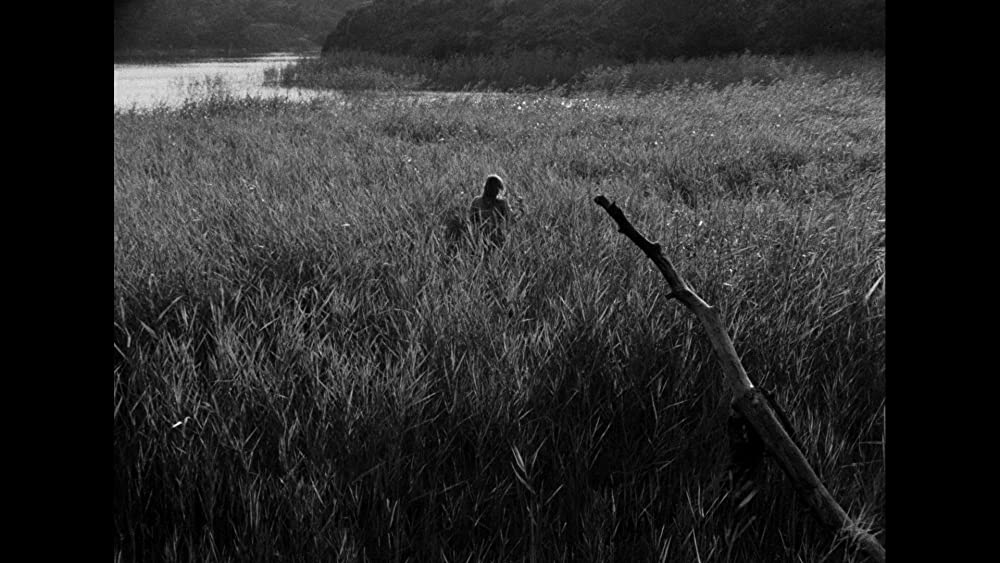 不良少女モニカの画像