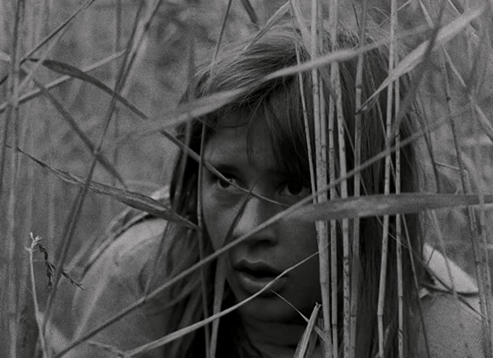 不良少女モニカの画像