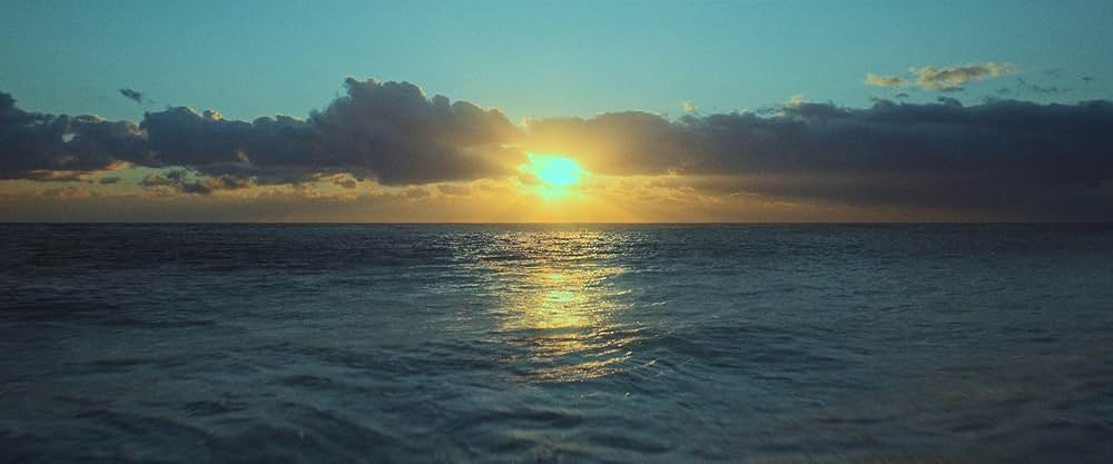 「バレリーナ」の画像