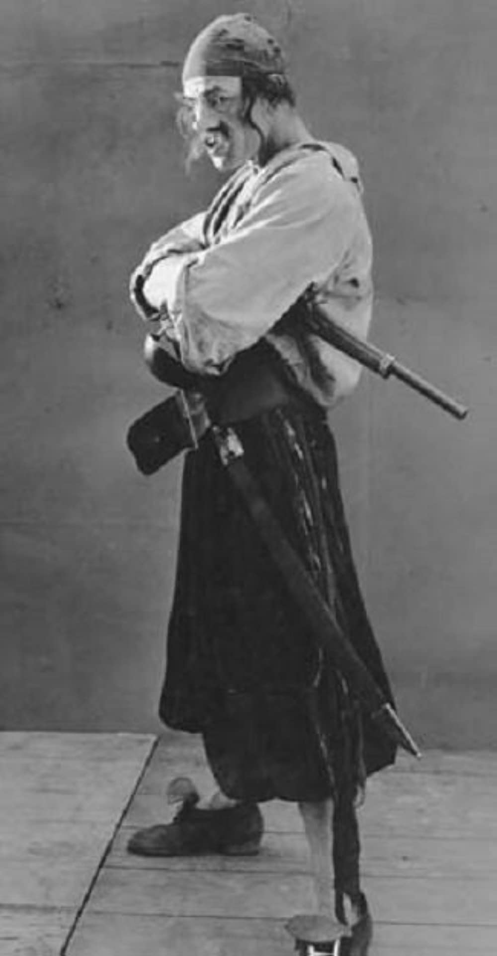 どうぶつ宝島の画像