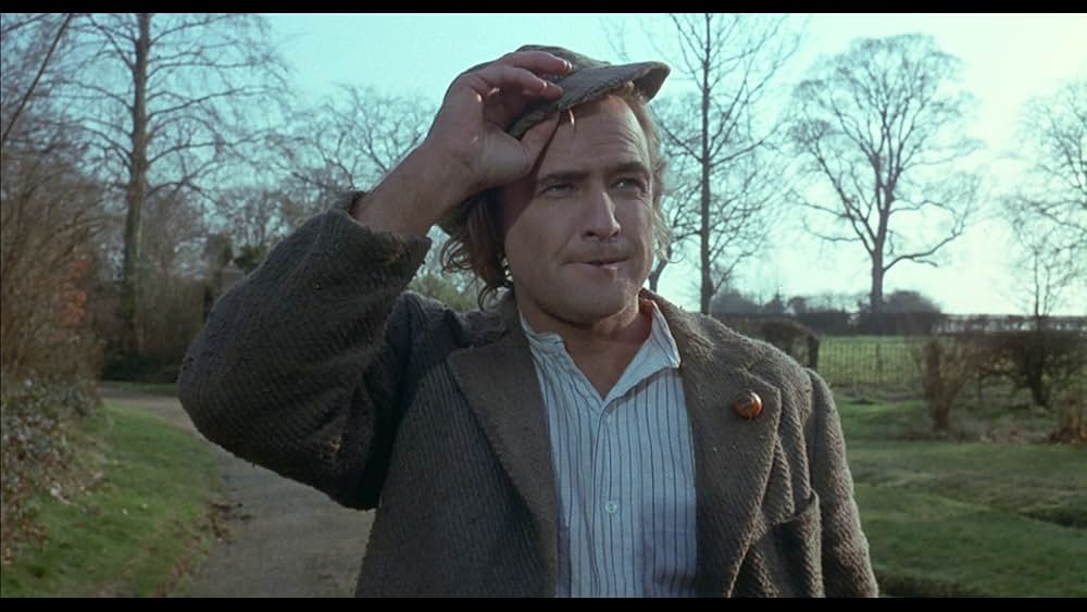 妖精たちの森の画像