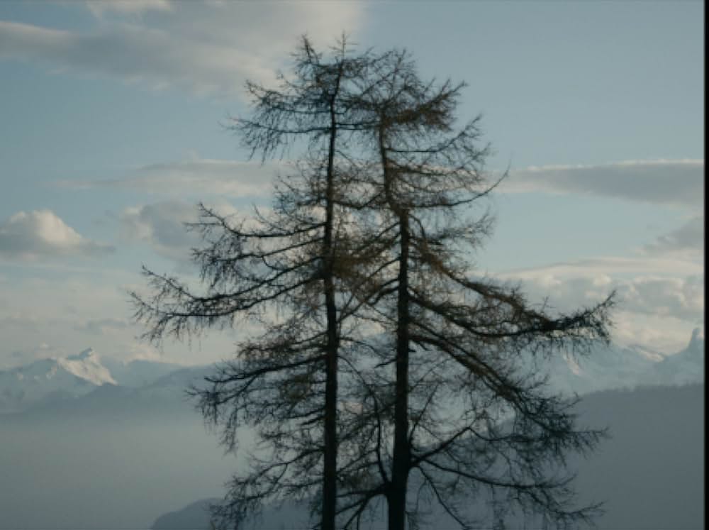 帰れない山の画像