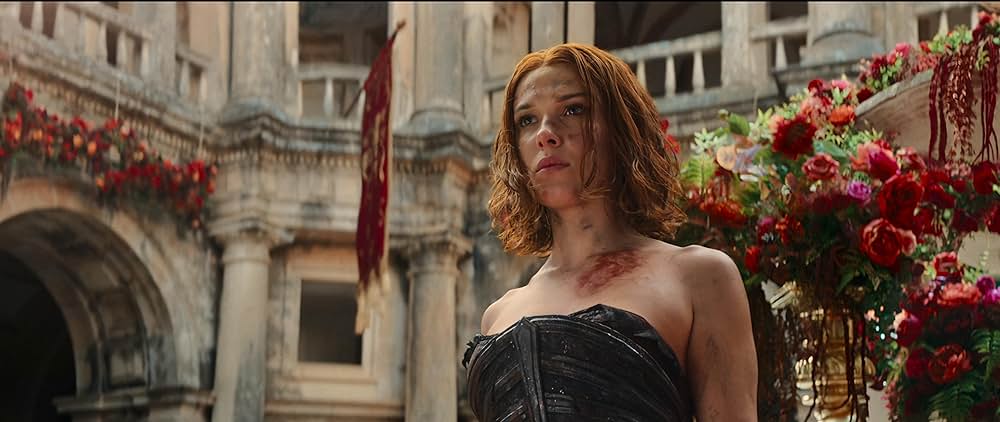 ダムゼル／運命を拓きし者の画像