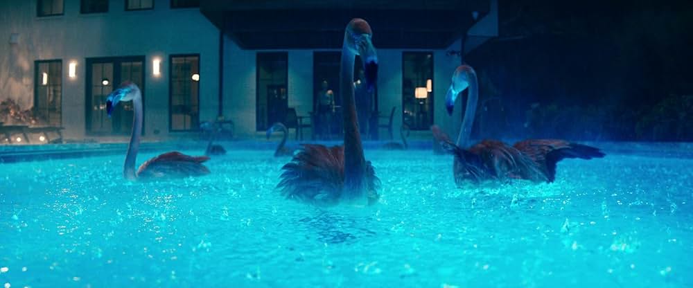 終わらない週末の画像