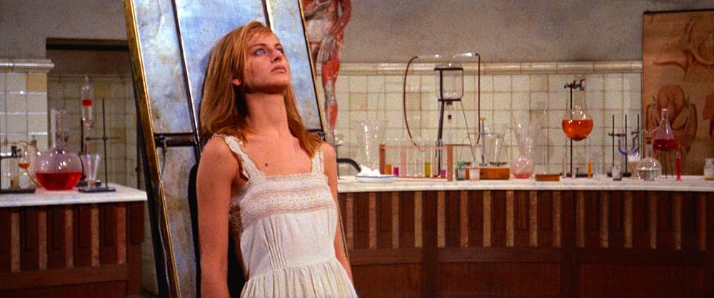 悪魔のはらわたの画像