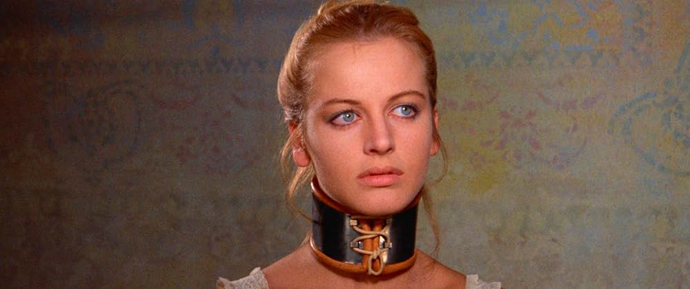 悪魔のはらわたの画像