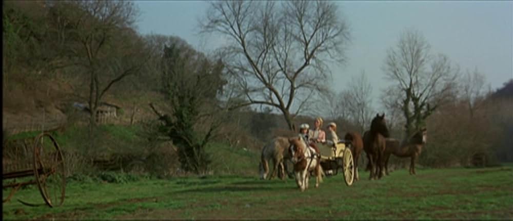 悪魔のはらわたの画像