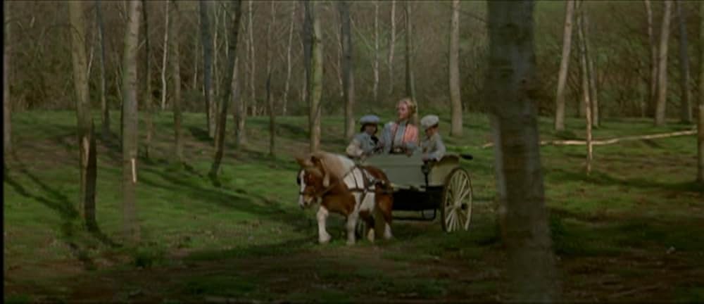 悪魔のはらわたの画像