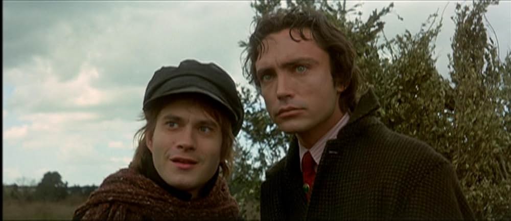 悪魔のはらわたの画像