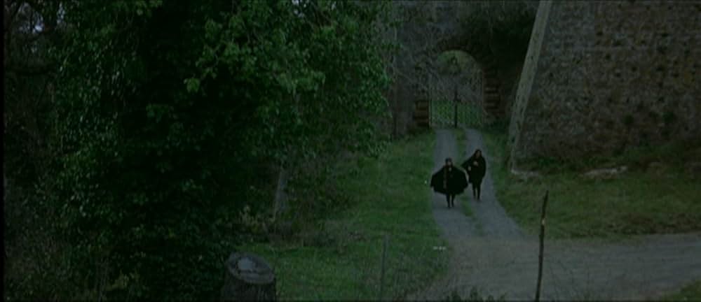 悪魔のはらわたの画像