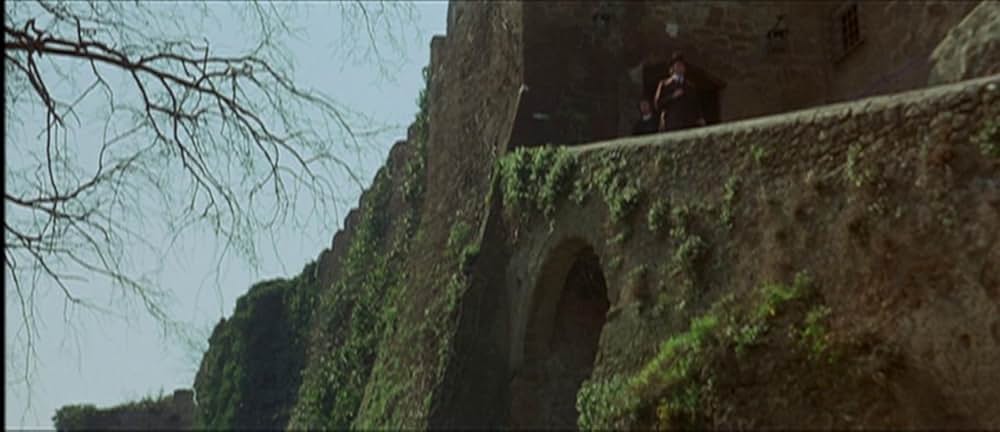 悪魔のはらわたの画像