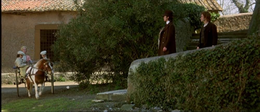 悪魔のはらわたの画像