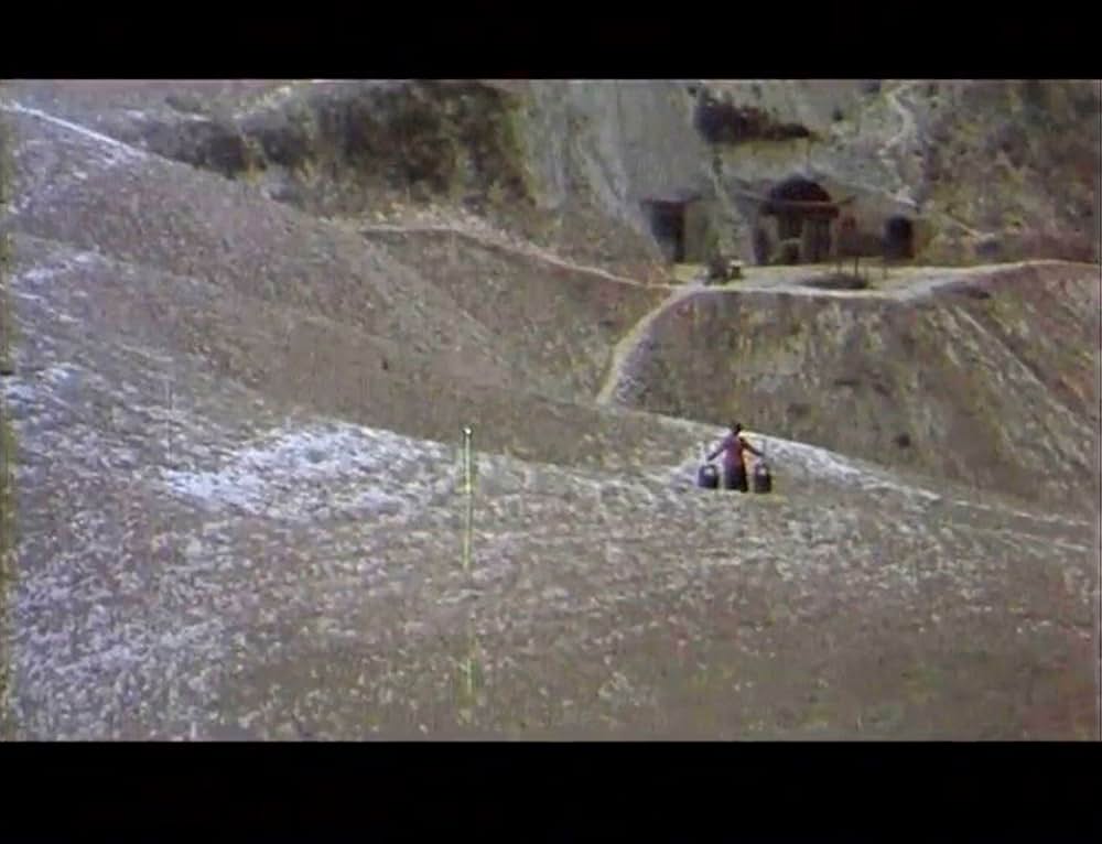 黄色い大地の画像