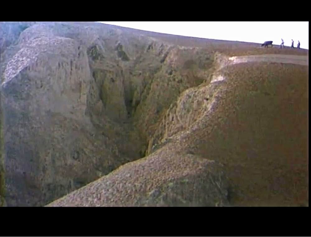 黄色い大地の画像