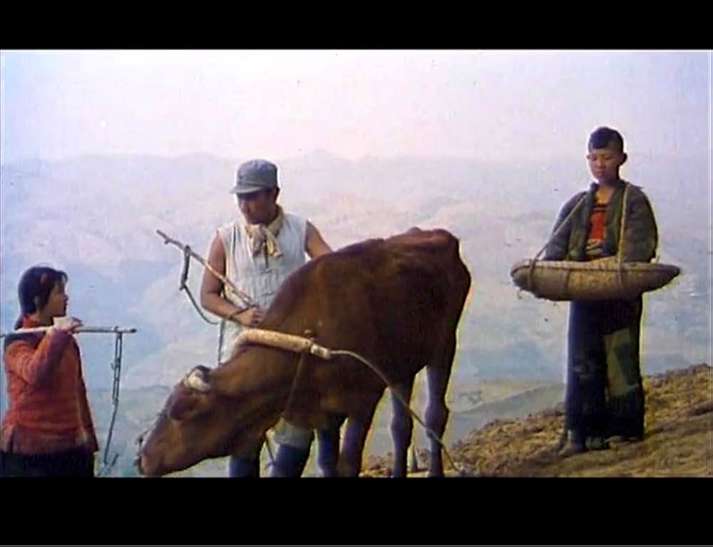 黄色い大地の画像