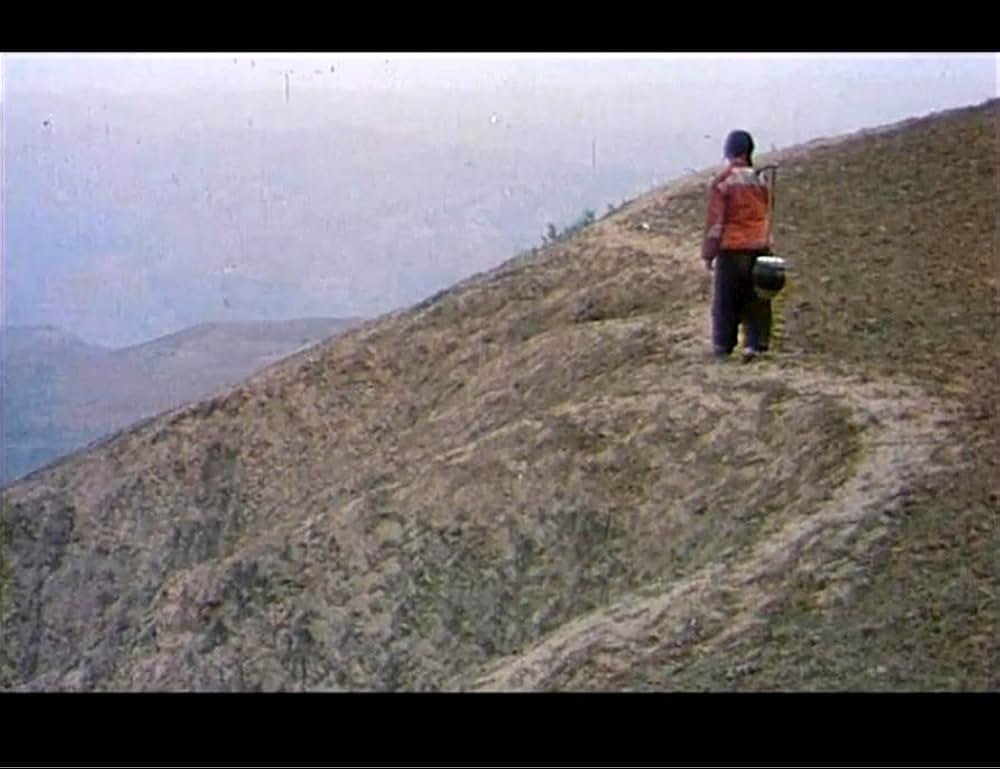 黄色い大地の画像