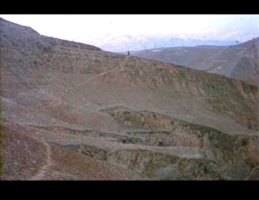 黄色い大地の画像