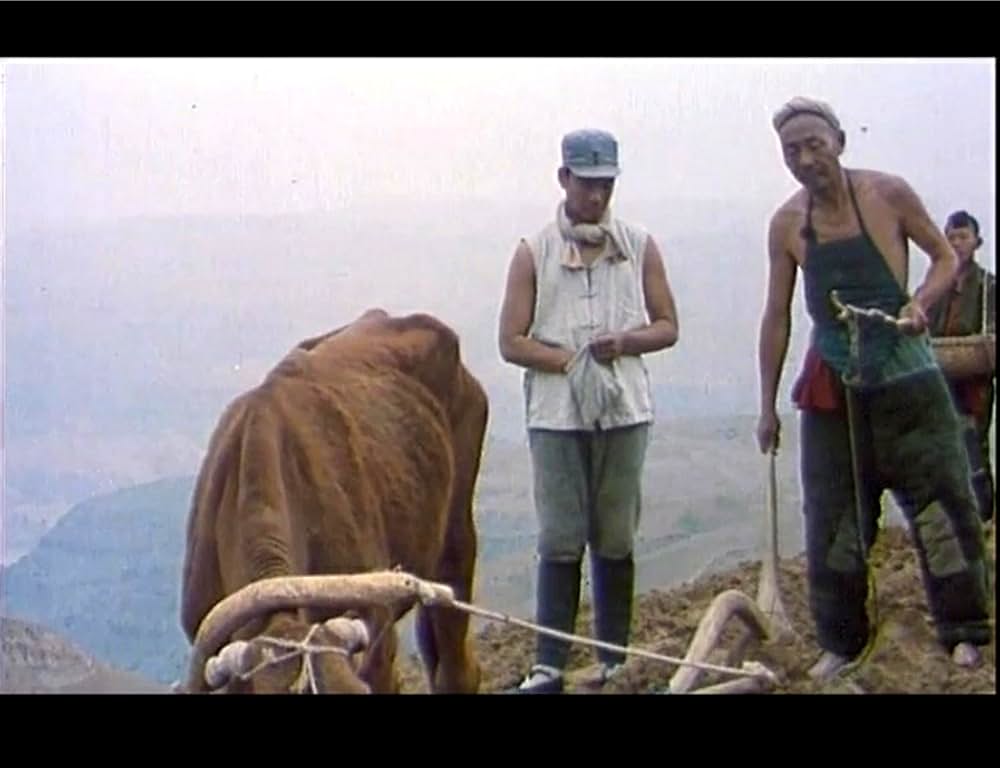 黄色い大地の画像