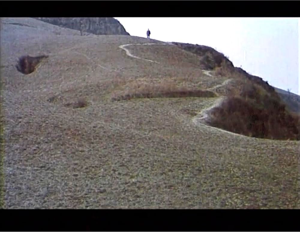黄色い大地の画像