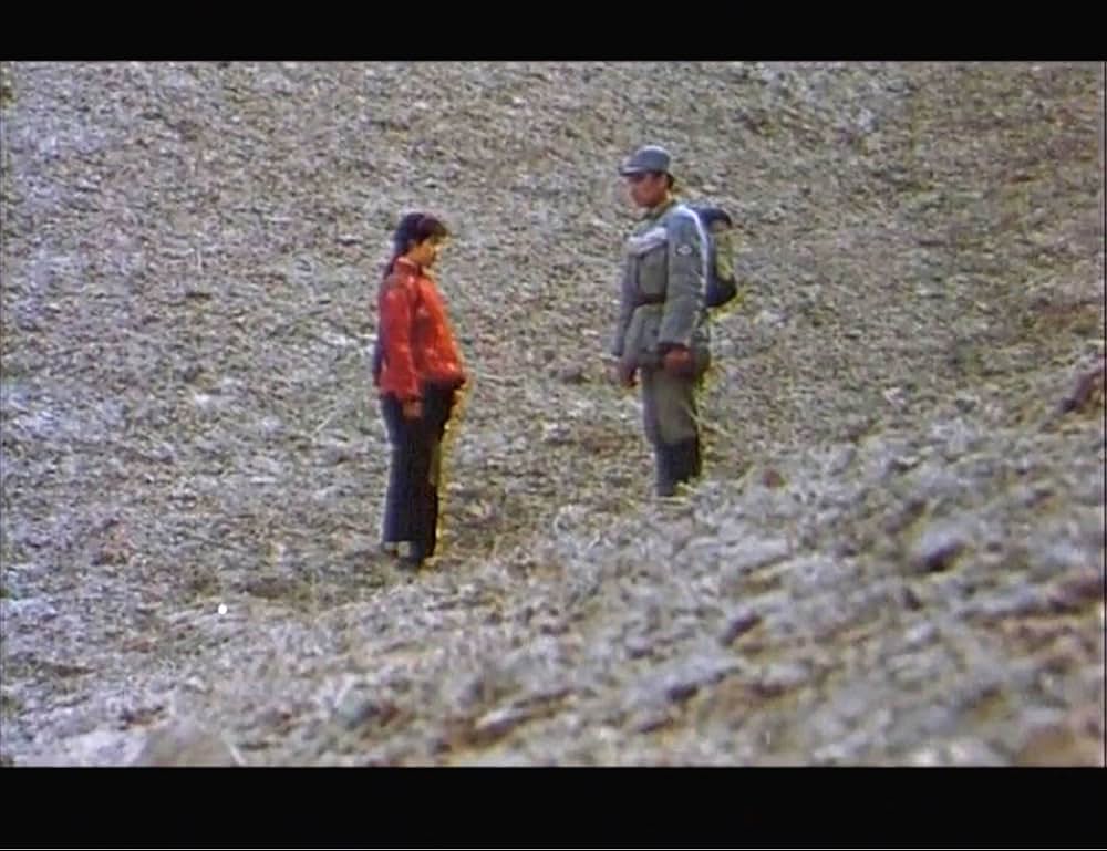 黄色い大地の画像