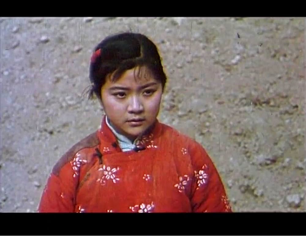 黄色い大地の画像