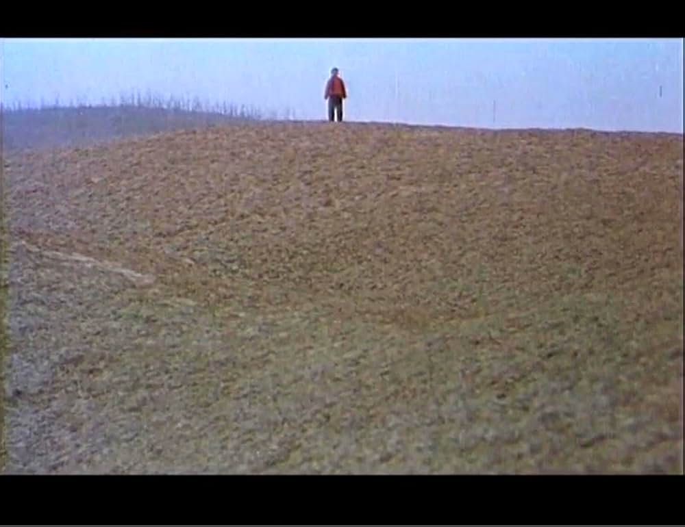 黄色い大地の画像