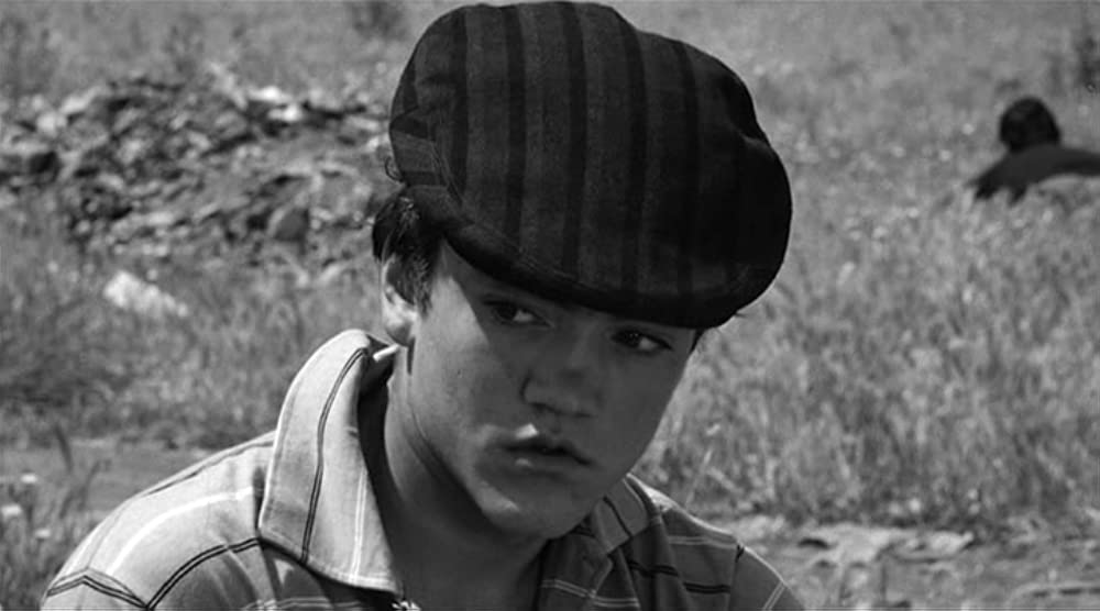 マンマ・ローマの画像