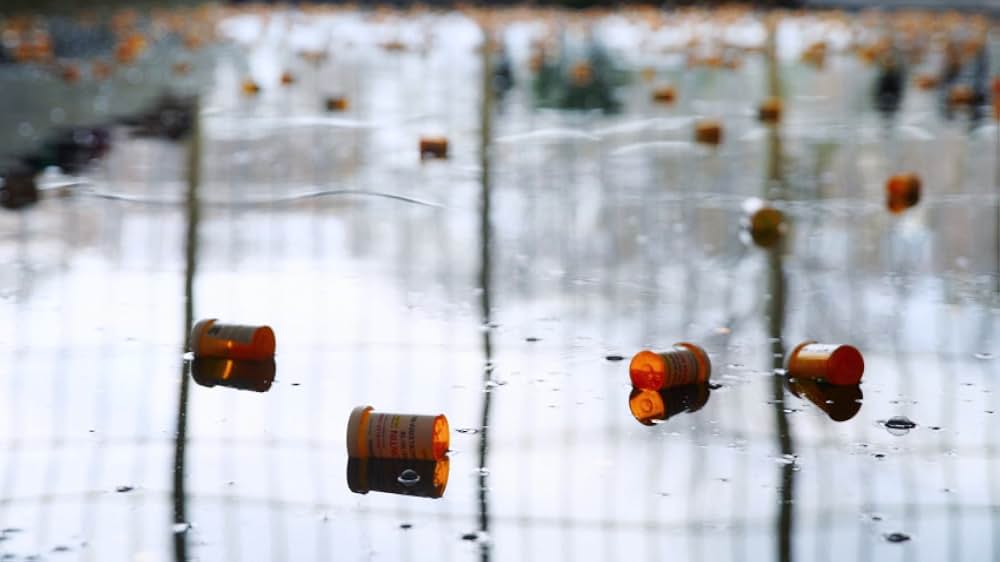 美と殺戮のすべての画像