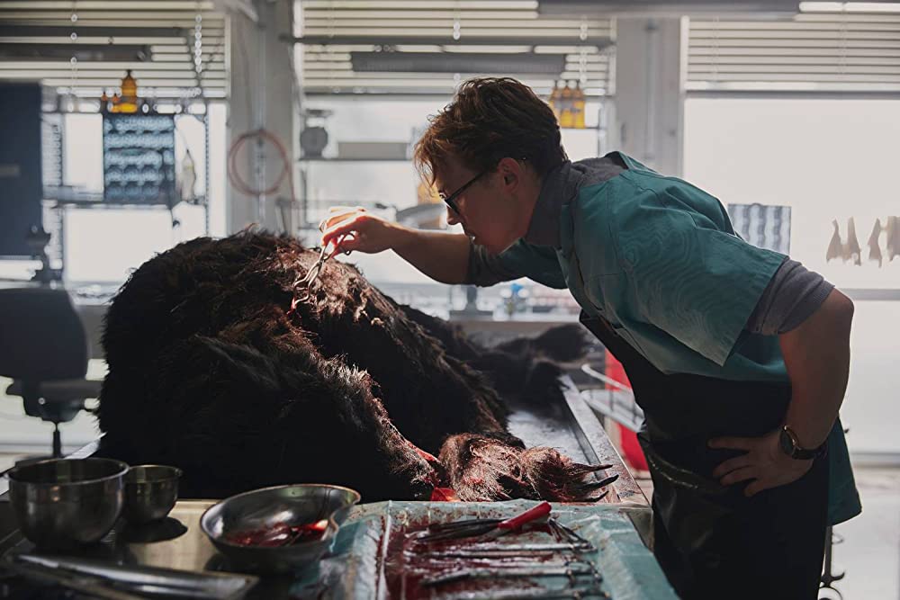 ヴァイキング・ウルフの画像