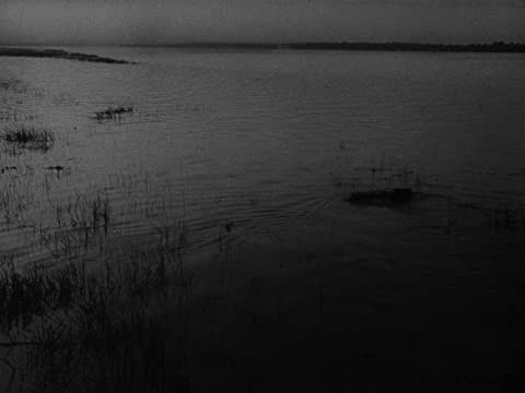 僕の村は戦場だったの画像