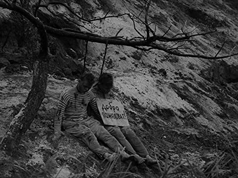 僕の村は戦場だったの画像