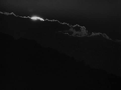 僕の村は戦場だったの画像