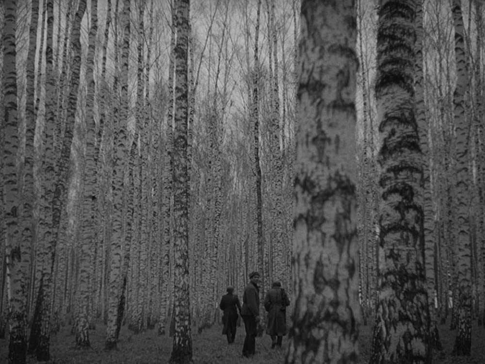 僕の村は戦場だったの画像