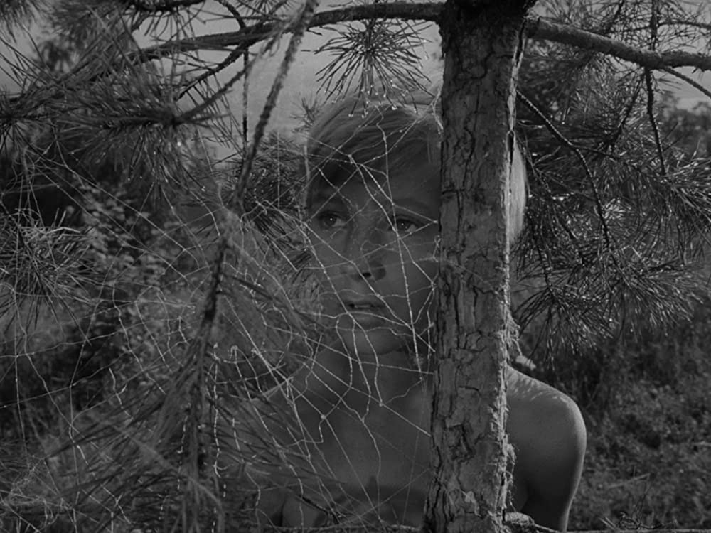 僕の村は戦場だったの画像