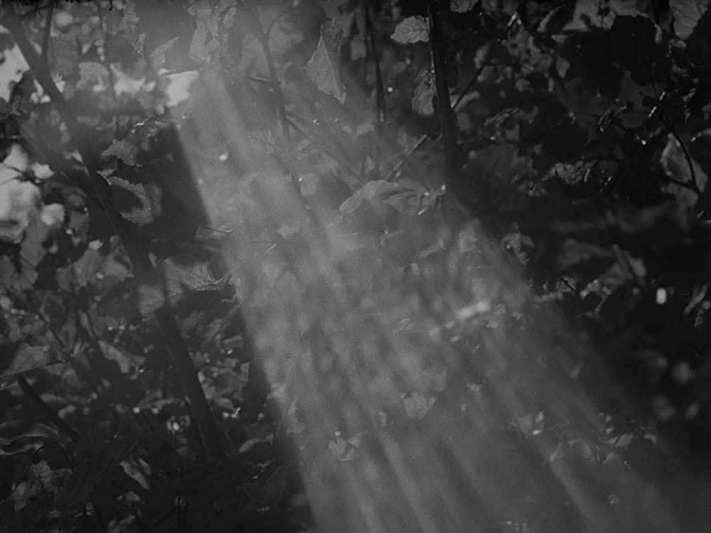 僕の村は戦場だったの画像