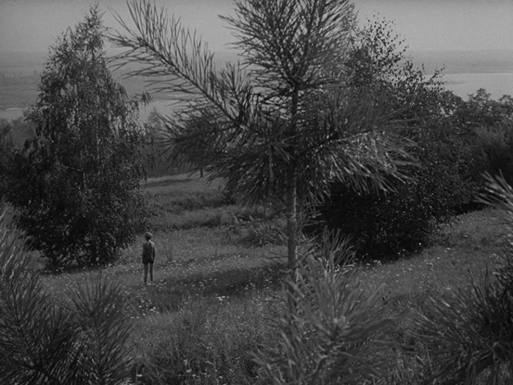 僕の村は戦場だったの画像