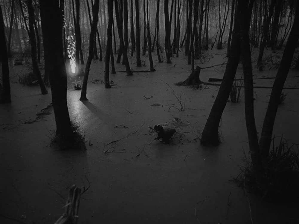 僕の村は戦場だったの画像