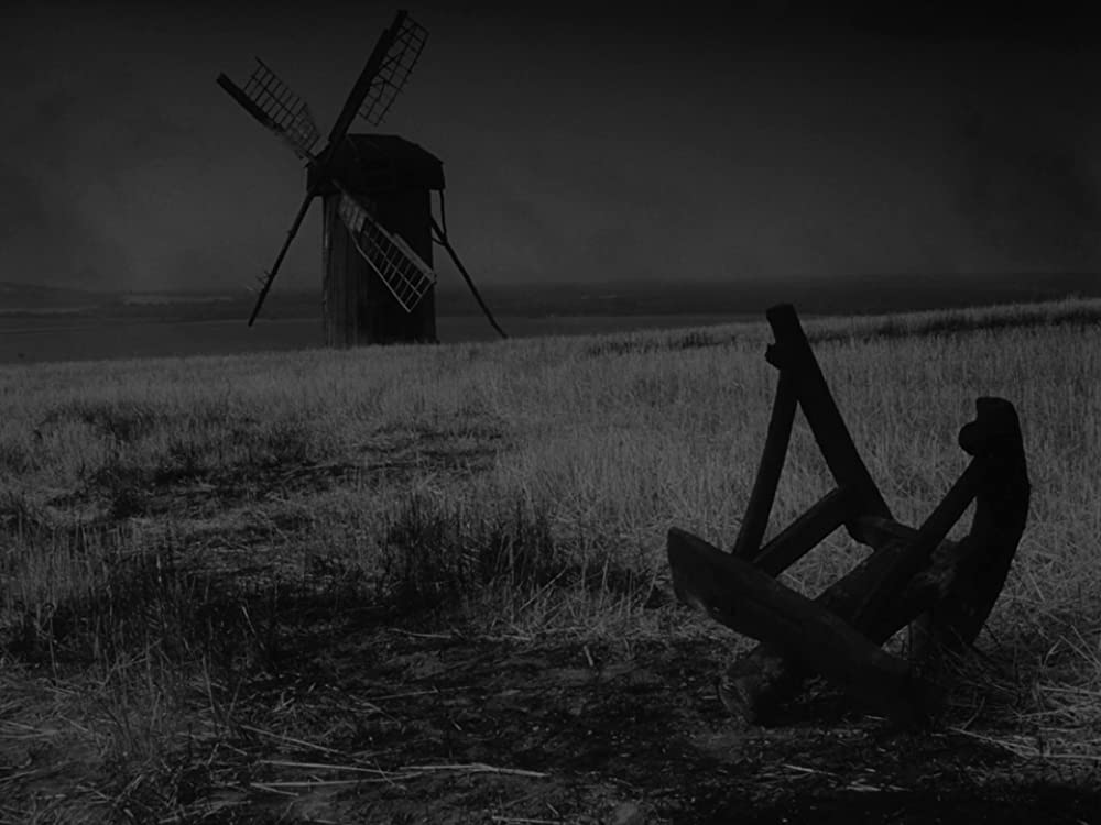 僕の村は戦場だったの画像