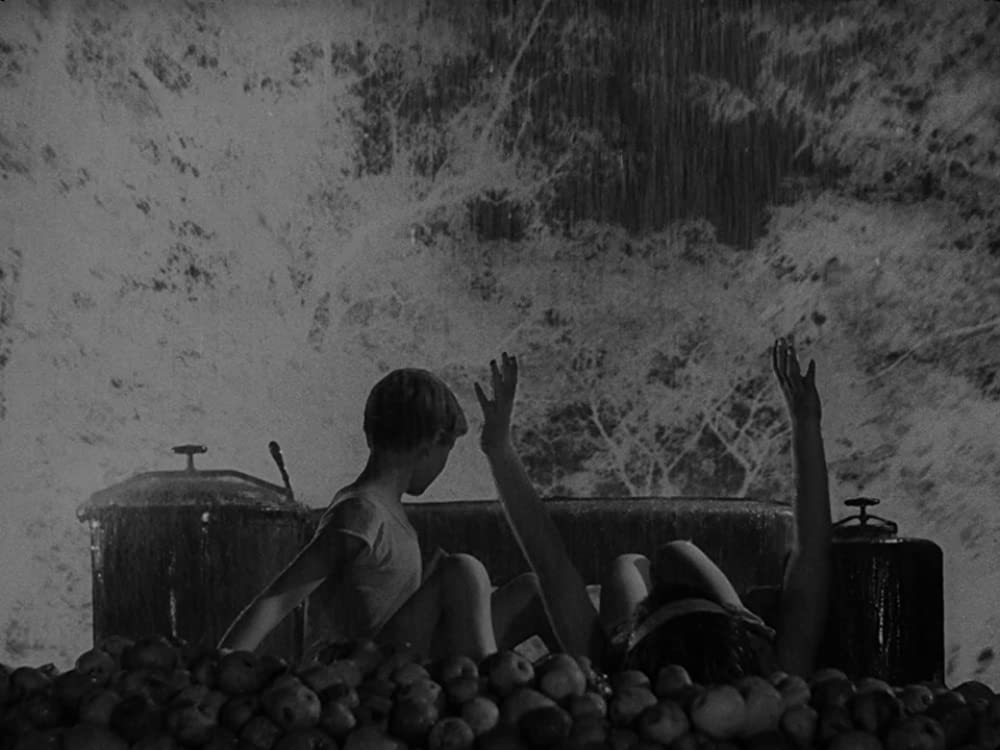 僕の村は戦場だったの画像