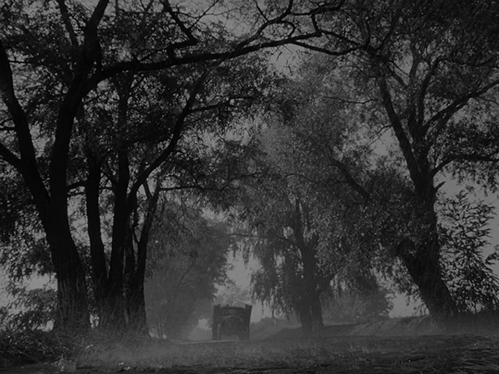 僕の村は戦場だったの画像